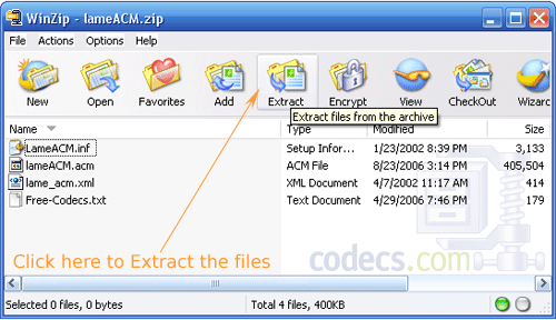 Extract the files