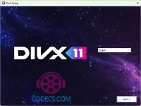 DivX 11 screenshots