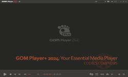 Screenshot of gom_player__2024__your_essential_media_player.htm