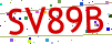 Verification code picture