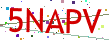 Verification code picture