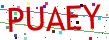 Verification code picture