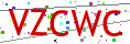 Verification code picture