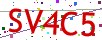 Verification code picture