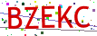 Verification code picture