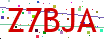 Verification code picture