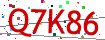 Verification code picture