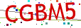Verification code picture