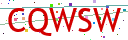 Verification code picture
