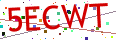 Verification code picture