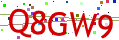 Verification code picture