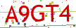 Verification code picture