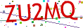 Verification code picture