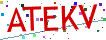 Verification code picture