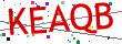 Verification code picture