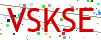 Verification code picture