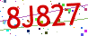 Verification code picture