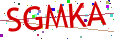 Verification code picture
