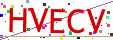 Verification code picture