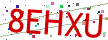 Verification code picture