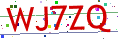 Verification code picture