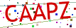 Verification code picture