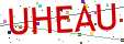Verification code picture