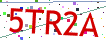 Verification code picture