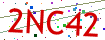 Verification code picture