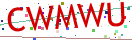 Verification code picture