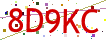 Verification code picture