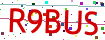 Verification code picture