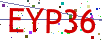 Verification code picture