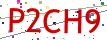 Verification code picture