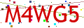 Verification code picture