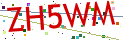 Verification code picture