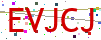 Verification code picture