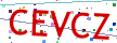 Verification code picture