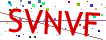 Verification code picture