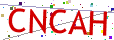 Verification code picture