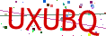 Verification code picture
