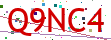 Verification code picture