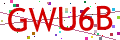 Verification code picture