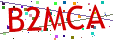 Verification code picture