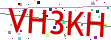 Verification code picture