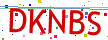 Verification code picture