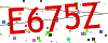 Verification code picture