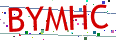 Verification code picture