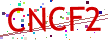 Verification code picture