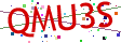 Verification code picture